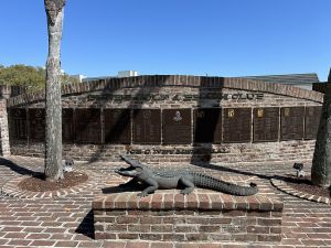Dunes Golf And Beach Gator Statue